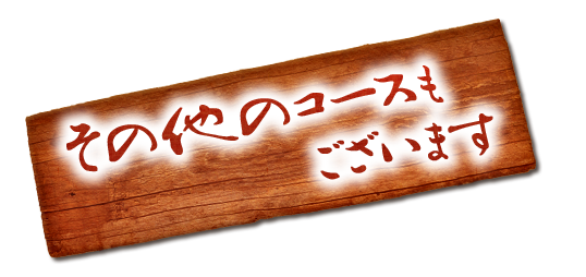 その他のコースもございます