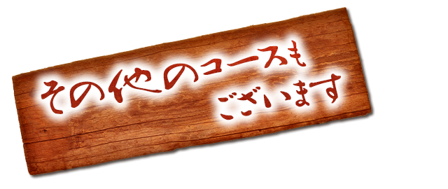 その他のコースもございます